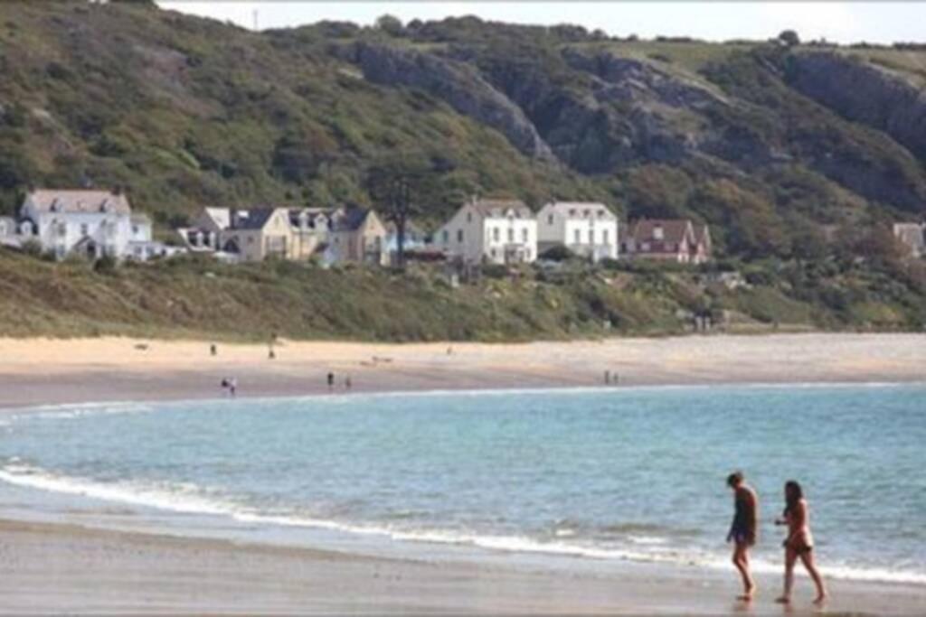 Perfect For The Family And Beaches - Gower Cwtch Chalet *