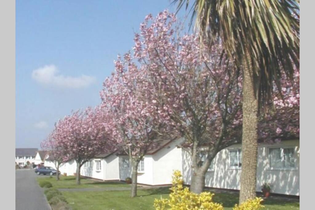 Perfect For The Family And Beaches - Gower Cwtch Chalet