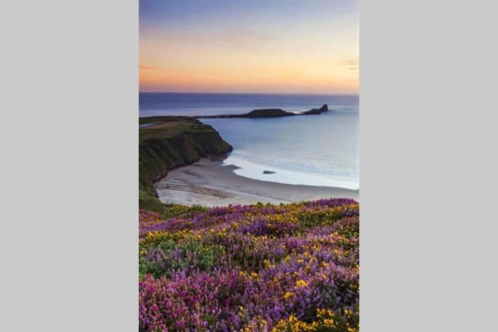 Perfect For The Family And Beaches - Gower Cwtch Chalet *